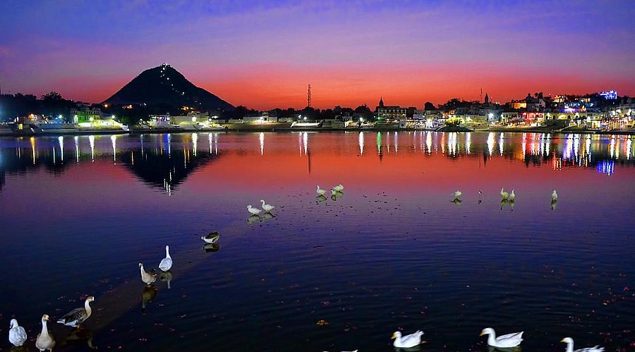 Desert Camping in Pushkar